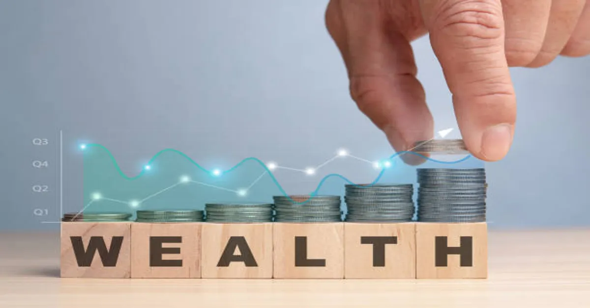 Pedrovazpaulo Wealth Investment