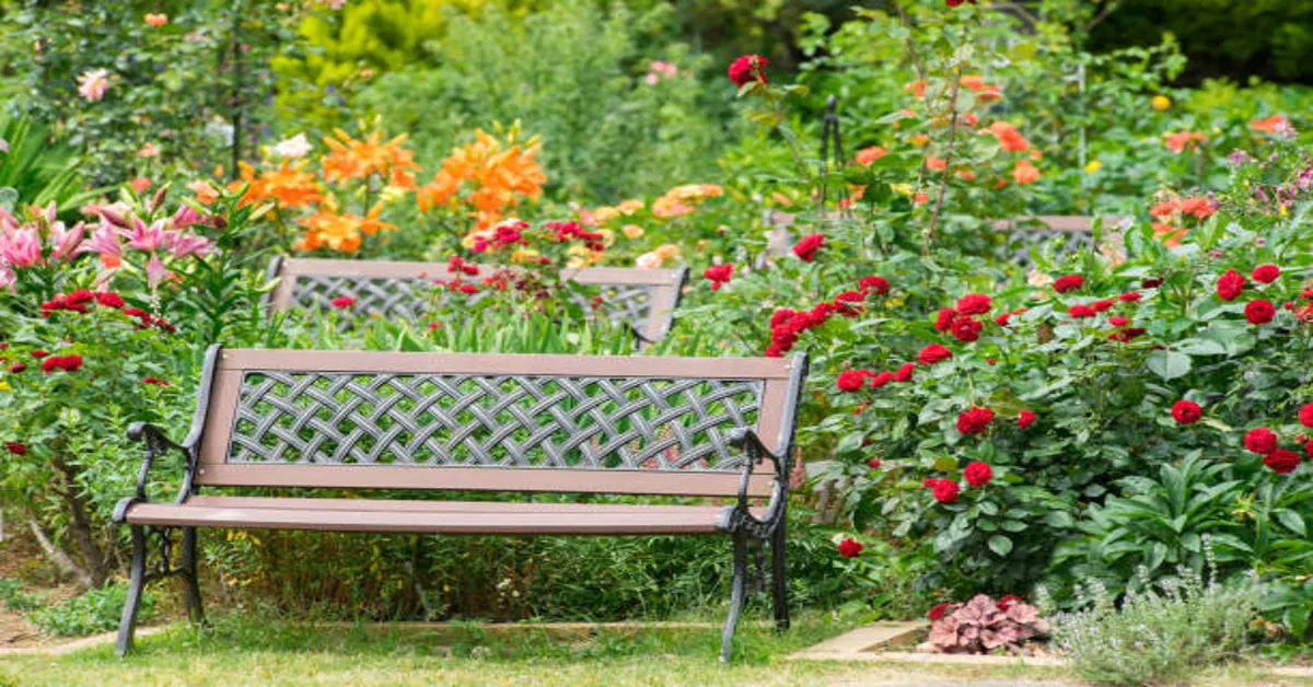 Benches Garden Bench